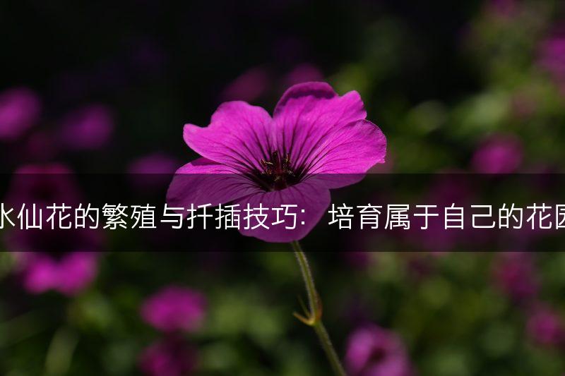 水仙花的繁殖与扦插技巧：培育属于自己的花园(图1)