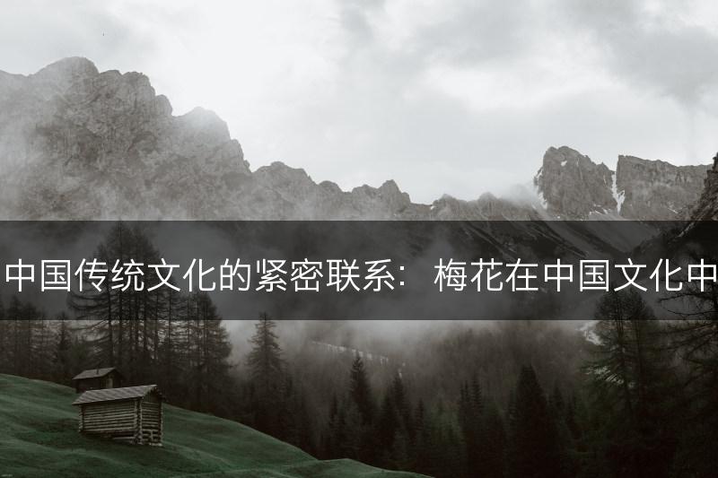 梅花与中国传统文化的紧密联系：梅花在中国文化中的地位(图1)