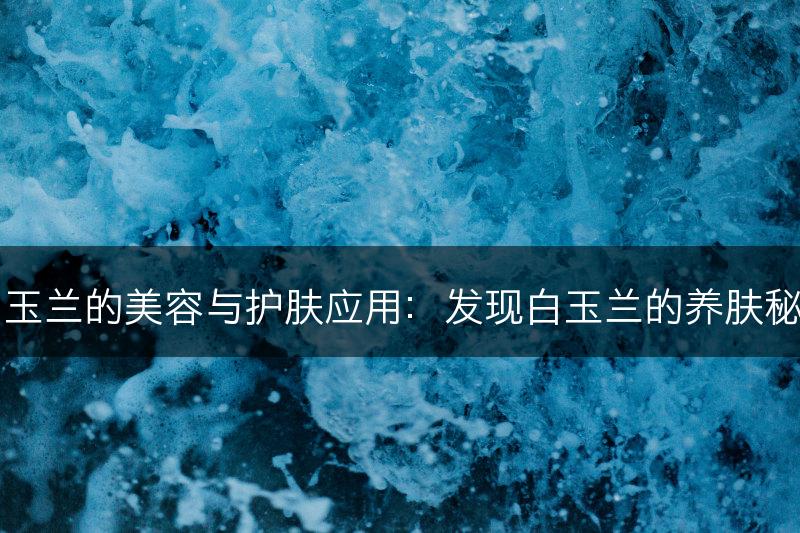 白玉兰的美容与护肤应用:发现白玉兰的养肤秘诀(图1) 白玉兰的美容与护肤应用:发现白玉兰的养肤秘诀(图1)