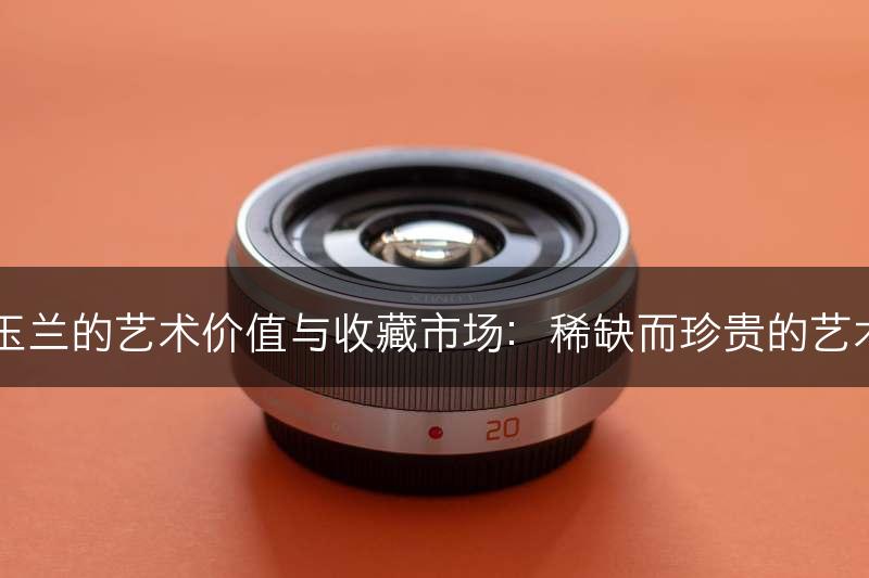 白玉兰的艺术价值与收藏市场：稀缺而珍贵的艺术品(图1)