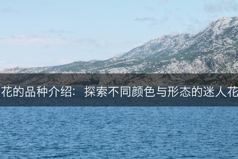 杏花的品种介绍：探索不同颜色与形态的迷人花卉(图1)