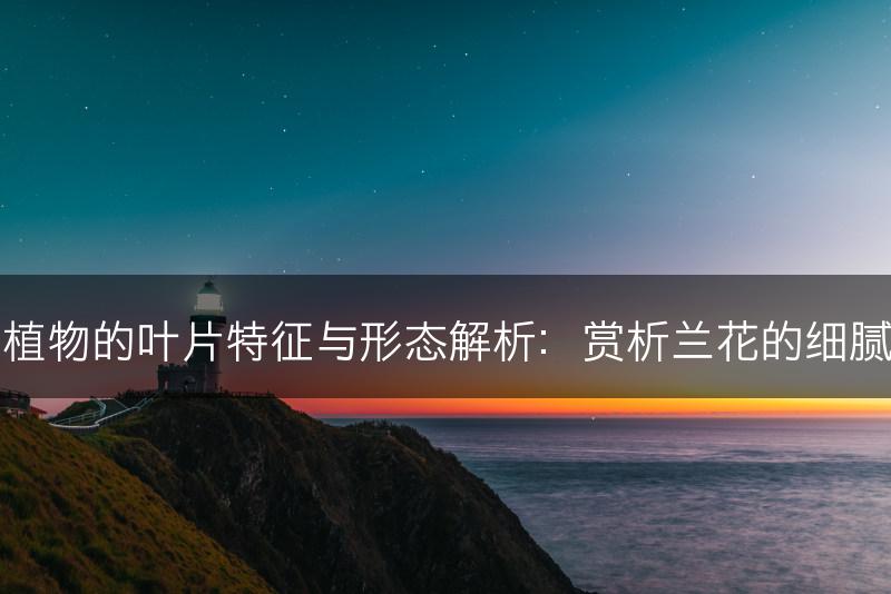 兰科植物的叶片特征与形态解析：赏析兰花的细腻之美(图1)