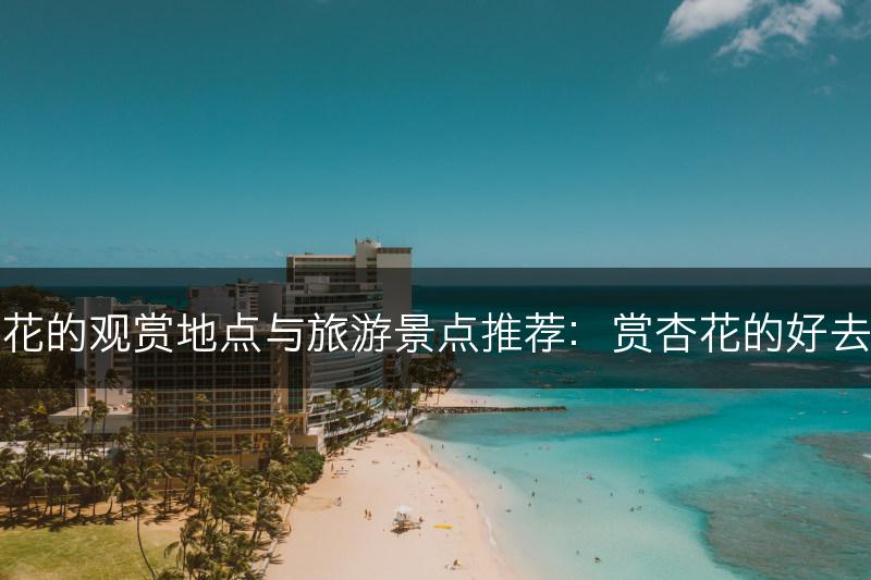 杏花的观赏地点与旅游景点推荐：赏杏花的好去处(图1)