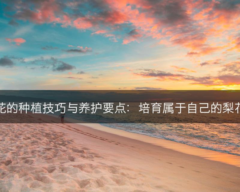 梨花的种植技巧与养护要点：培育属于自己的梨花树(图1)