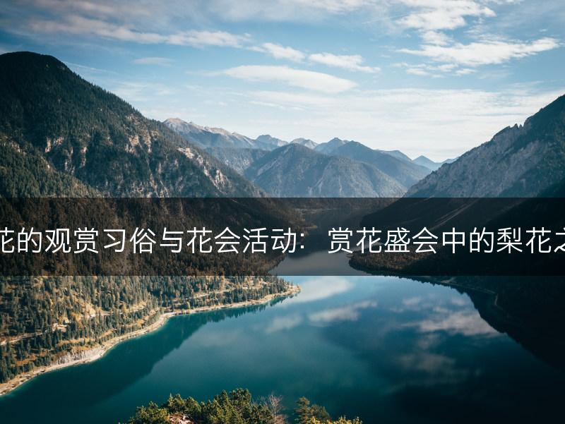 梨花的观赏习俗与花会活动：赏花盛会中的梨花之美(图1)
