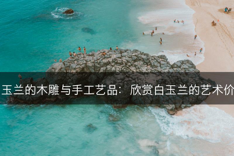 白玉兰的木雕与手工艺品：欣赏白玉兰的艺术价值(图1)