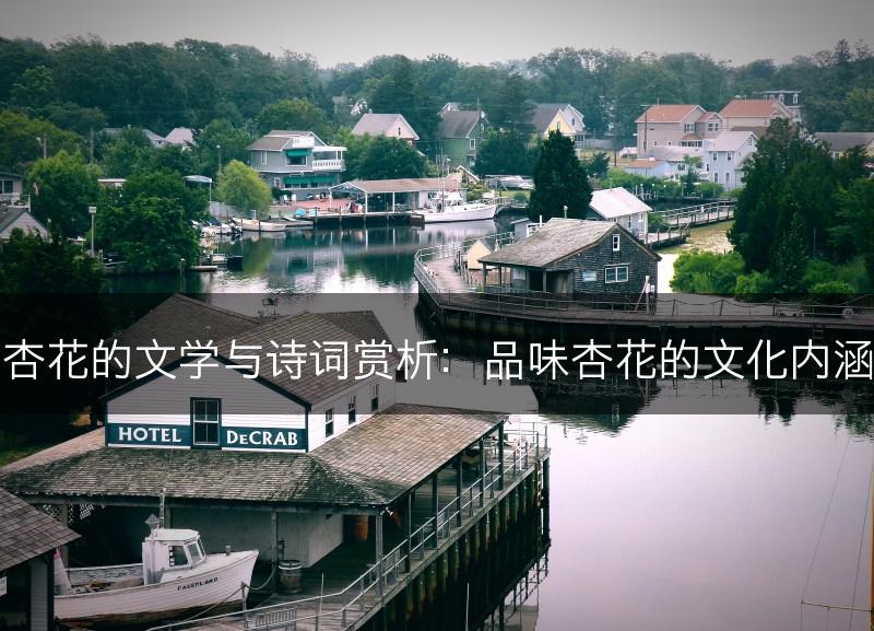 杏花的文学与诗词赏析：品味杏花的文化内涵(图1)
