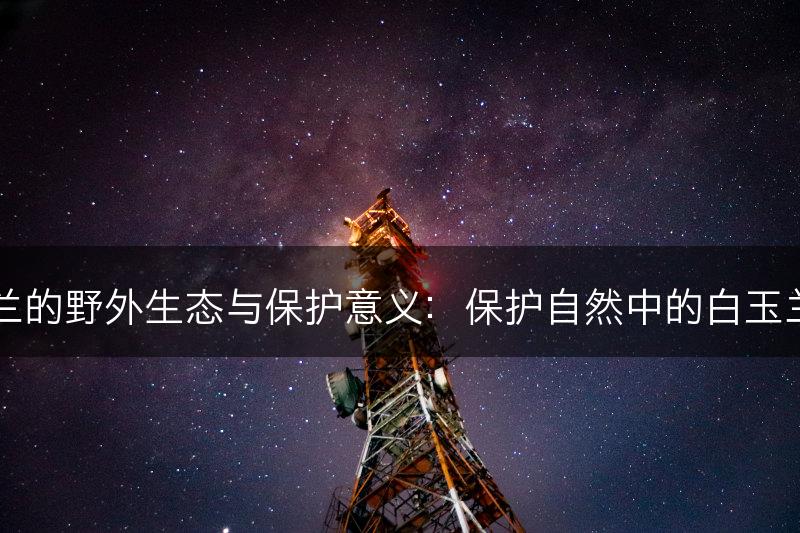 白玉兰的野外生态与保护意义:保护自然中的白玉兰之美(图1) 白玉兰的野外生态与保护意义:保护自然中的白玉兰之美(图1)