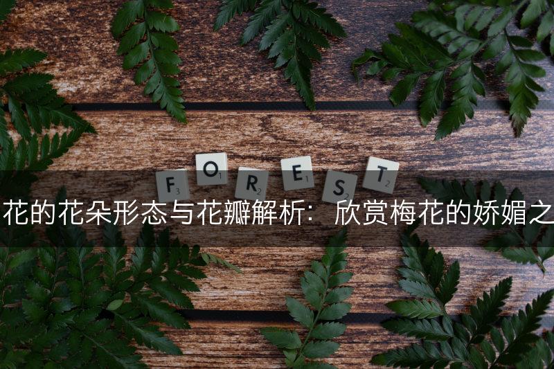 梅花的花朵形态与花瓣解析：欣赏梅花的娇媚之美(图1)