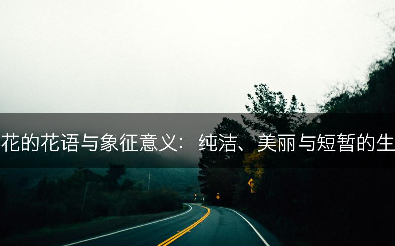 樱花的花语与象征意义:纯洁、美丽与短暂的生命(图1) 樱花的花语与象征意义:纯洁、美丽与短暂的生命(图1)