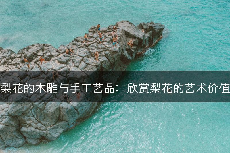 梨花的木雕与手工艺品：欣赏梨花的艺术价值(图1)
