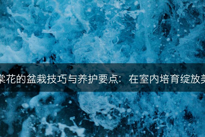 海棠花的盆栽技巧与养护要点：在室内培育绽放美丽(图1)