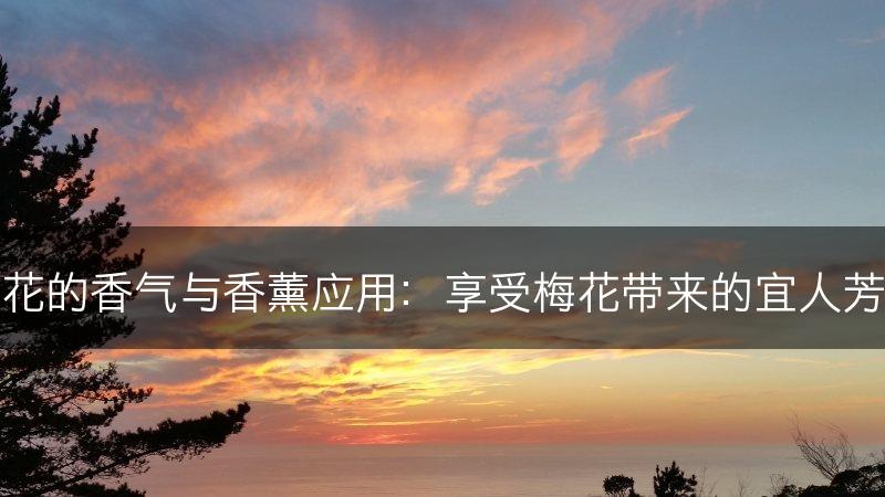 梅花的香气与香薰应用：享受梅花带来的宜人芳香(图1)