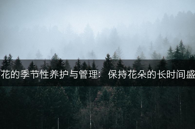 梨花的季节性养护与管理：保持花朵的长时间盛开(图1)