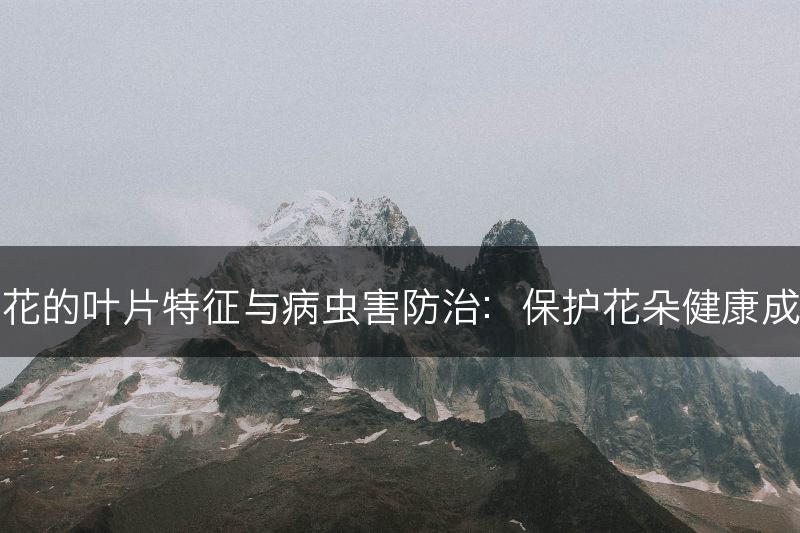 梨花的叶片特征与病虫害防治：保护花朵健康成长(图1)