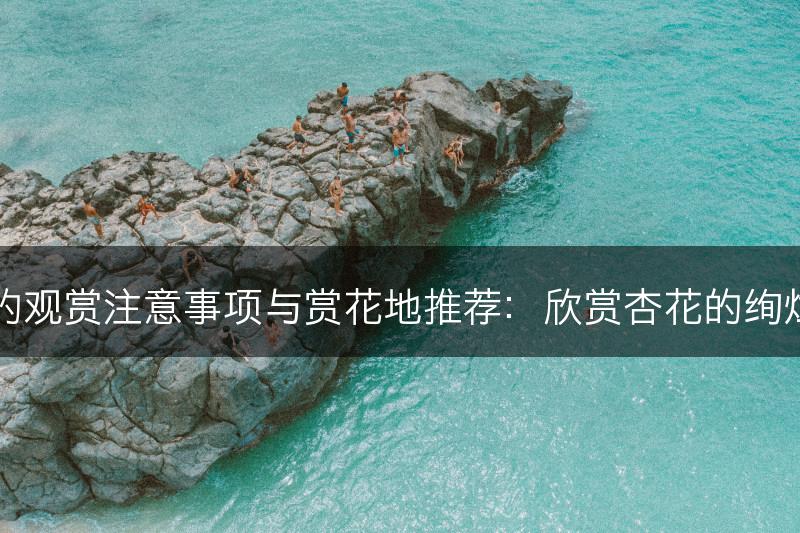 杏花的观赏注意事项与赏花地推荐：欣赏杏花的绚烂时刻(图1)