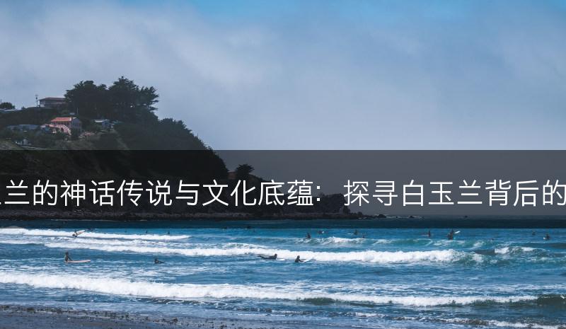 白玉兰的神话传说与文化底蕴:探寻白玉兰背后的故事(图1) 白玉兰的神话传说与文化底蕴:探寻白玉兰背后的故事(图1)