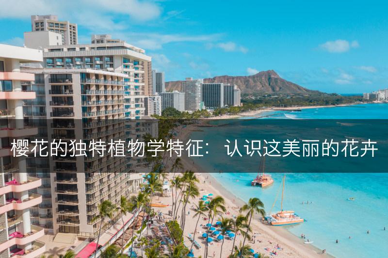 樱花的独特植物学特征:认识这美丽的花卉(图1) 樱花的独特植物学特征:认识这美丽的花卉(图1)