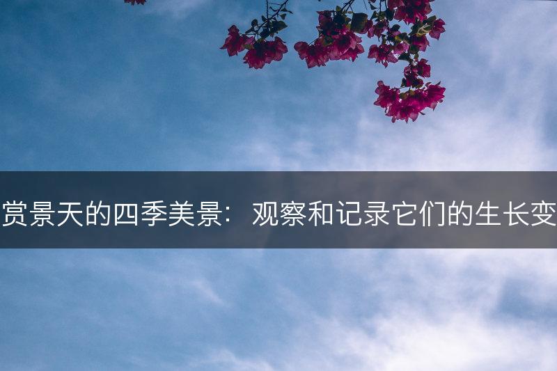 欣赏景天的四季美景：观察和记录它们的生长变化(图1)
