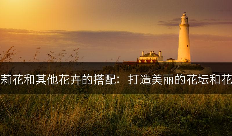 茉莉花和其他花卉的搭配：打造美丽的花坛和花束(图1)