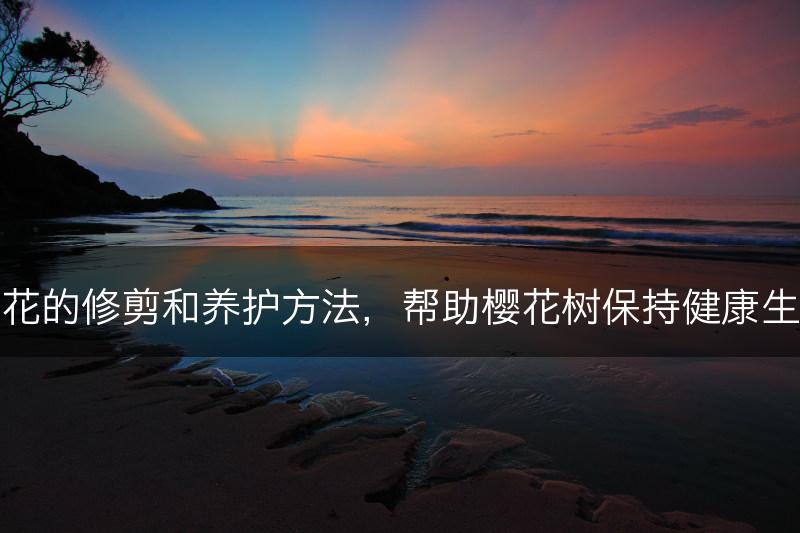 樱花的修剪和养护方法，帮助樱花树保持健康生长(图1)