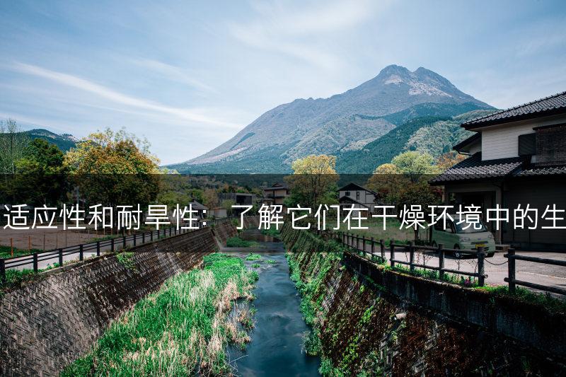 景天的适应性和耐旱性：了解它们在干燥环境中的生存能力(图1)