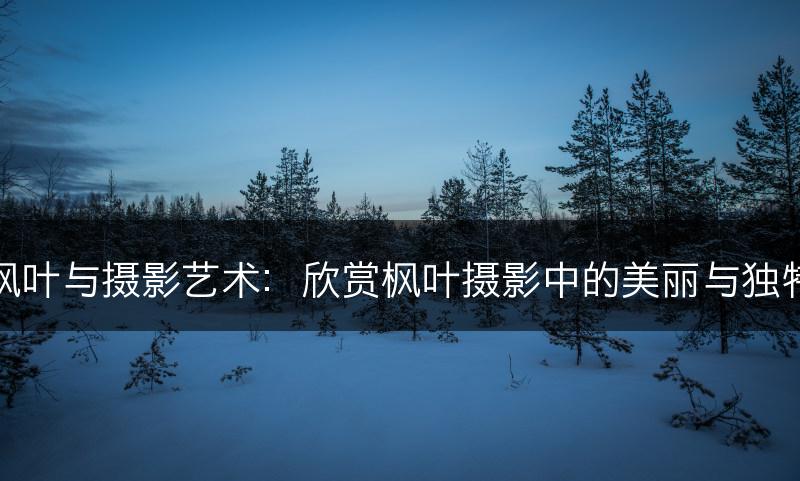枫叶与摄影艺术：欣赏枫叶摄影中的美丽与独特(图1)