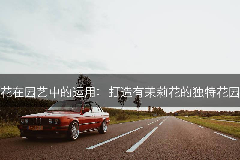 茉莉花在园艺中的运用：打造有茉莉花的独特花园设计(图1)