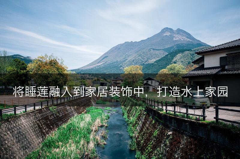 将睡莲融入到家居装饰中，打造水上家园(图1)