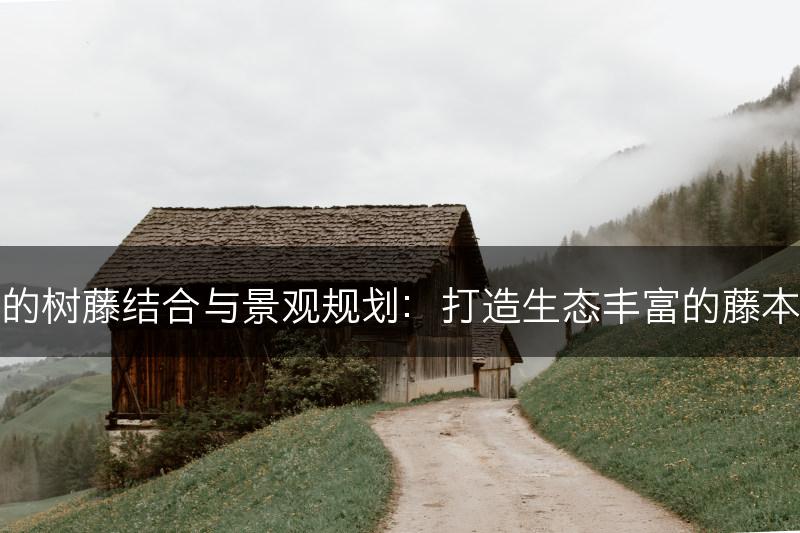 藤本植物的树藤结合与景观规划:打造生态丰富的藤本植物景观(图1) 藤本植物的树藤结合与景观规划:打造生态丰富的藤本植物景观(图1)