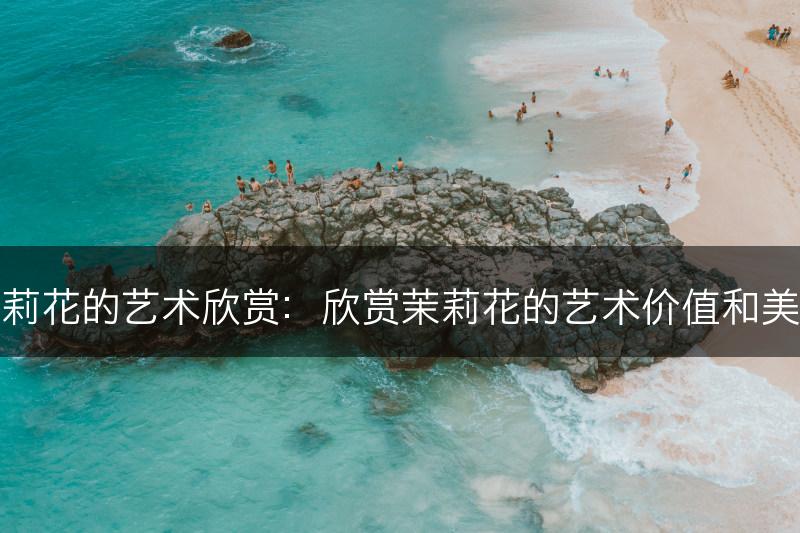 茉莉花的艺术欣赏：欣赏茉莉花的艺术价值和美感(图1)