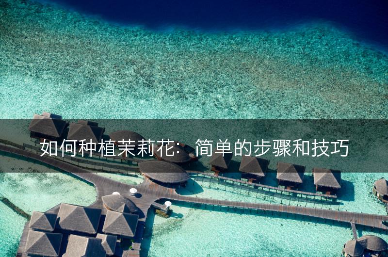 如何种植茉莉花:简单的步骤和技巧(图1) 如何种植茉莉花:简单的步骤和技巧(图1)