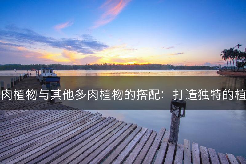 玉露多肉植物与其他多肉植物的搭配：打造独特的植物组合(图1)