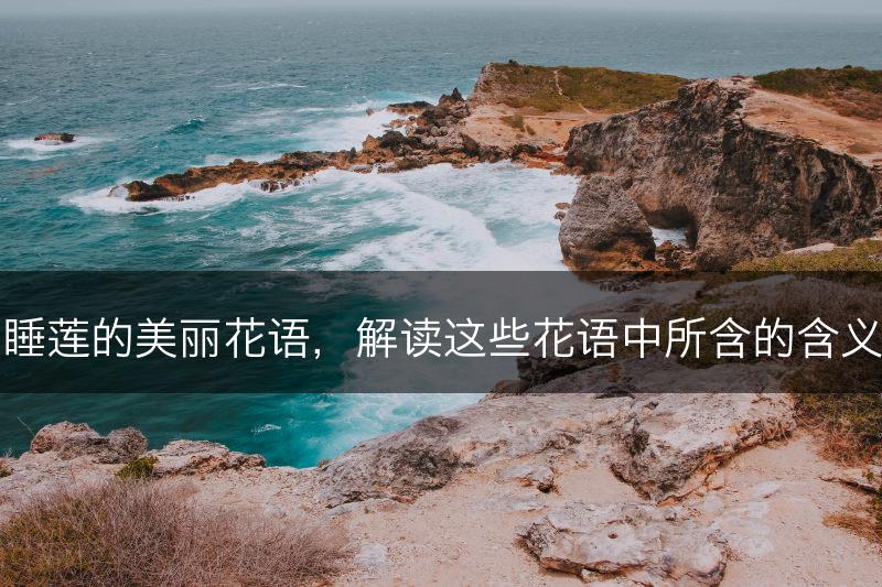 睡莲的美丽花语，解读这些花语中所含的含义(图1)