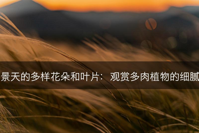 欣赏景天的多样花朵和叶片：观赏多肉植物的细腻之美(图1)