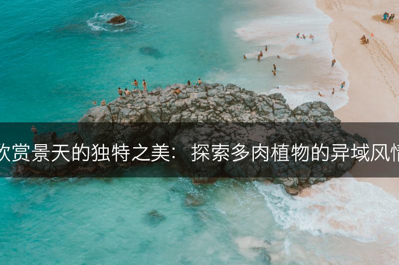 欣赏景天的独特之美：探索多肉植物的异域风情(图1)