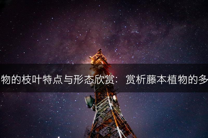 藤本植物的枝叶特点与形态欣赏:赏析藤本植物的多样之美(图1) 藤本植物的枝叶特点与形态欣赏:赏析藤本植物的多样之美(图1)