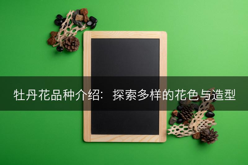 牡丹花品种介绍：探索多样的花色与造型(图1)
