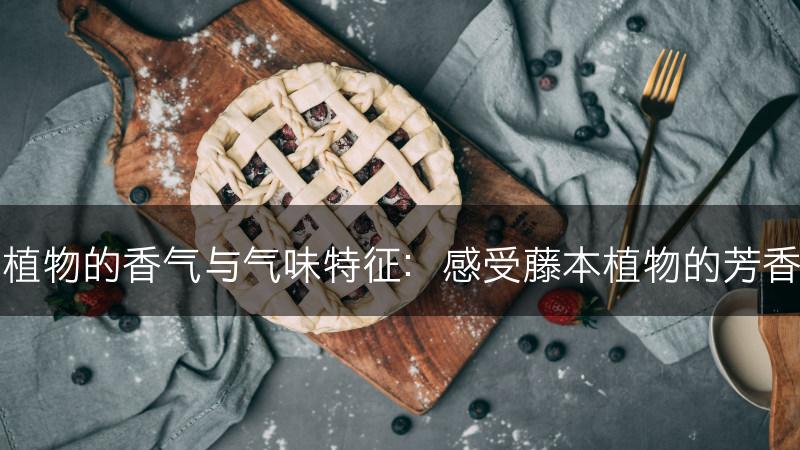 藤本植物的香气与气味特征:感受藤本植物的芳香之美(图1) 藤本植物的香气与气味特征:感受藤本植物的芳香之美(图1)