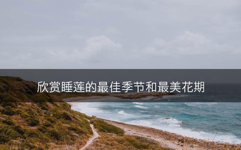 欣赏睡莲的最佳季节和最美花期(图1)