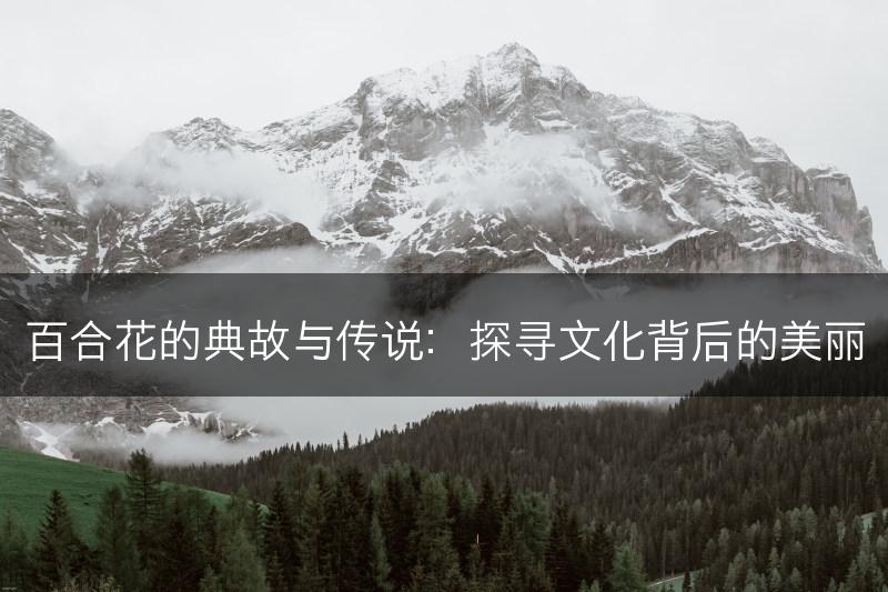 百合花的典故与传说：探寻文化背后的美丽(图1)