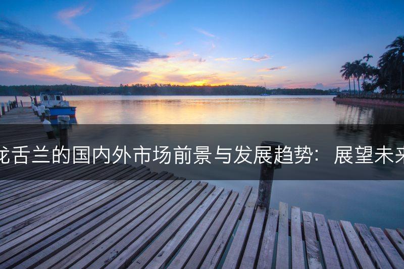 龙舌兰的国内外市场前景与发展趋势：展望未来(图1)