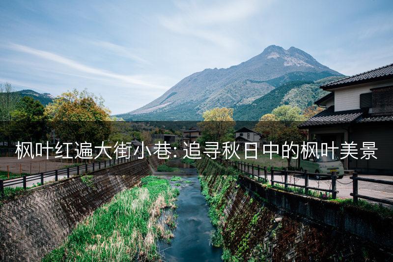 枫叶红遍大街小巷: 追寻秋日中的枫叶美景(图1)