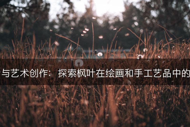 枫叶与艺术创作：探索枫叶在绘画和手工艺品中的应用(图1)