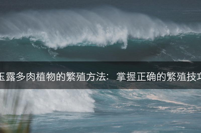 玉露多肉植物的繁殖方法：掌握正确的繁殖技巧(图1)