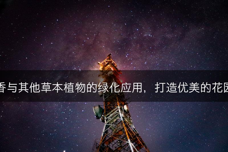 百里香与其他草本植物的绿化应用，打造优美的花园绿地(图1)