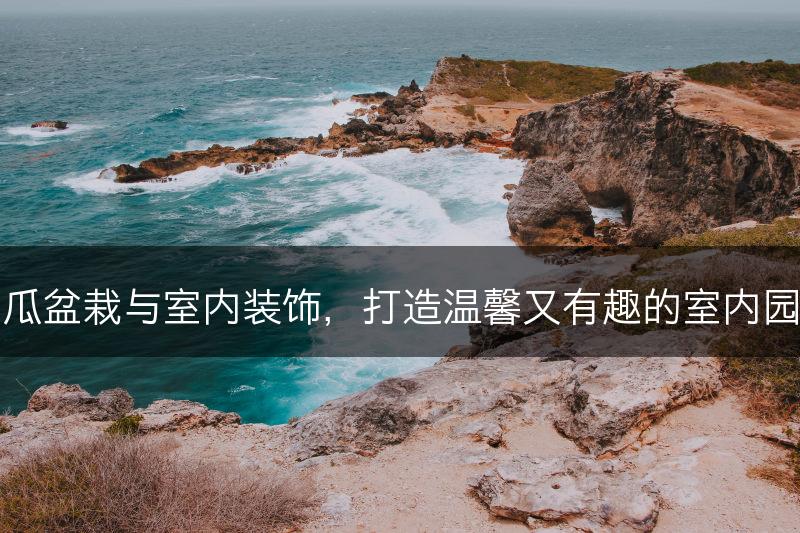 南瓜盆栽与室内装饰，打造温馨又有趣的室内园艺(图1)