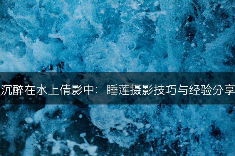 沉醉在水上倩影中：睡莲摄影技巧与经验分享(图1)