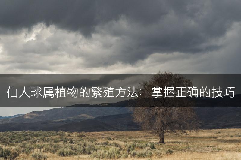 仙人球属植物的繁殖方法：掌握正确的技巧(图1)