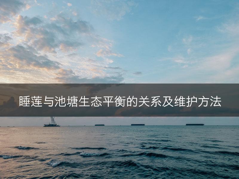 睡莲与池塘生态平衡的关系及维护方法(图1)